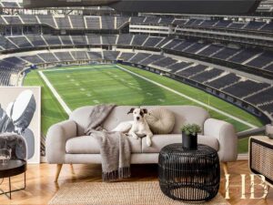 Stadium-themed living room